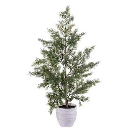 Vickerman 24 in. Green Cypress Sapling Potted EH213824